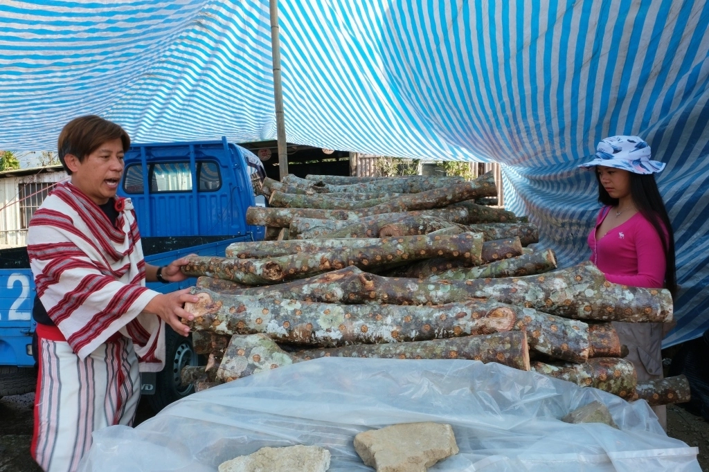 新竹五峰｜悅峰山莊，坐擁整片盛開山櫻花美景，新竹五峰豪華包棟民宿 @飛天璇的口袋