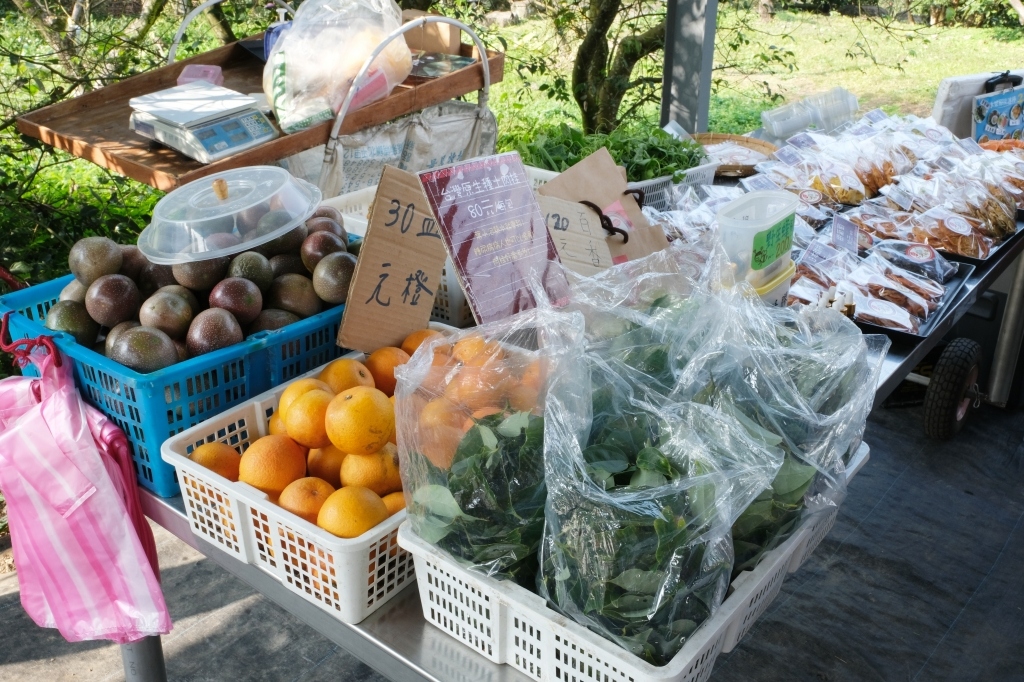 新竹五峰｜悅峰山莊，坐擁整片盛開山櫻花美景，新竹五峰豪華包棟民宿 @飛天璇的口袋
