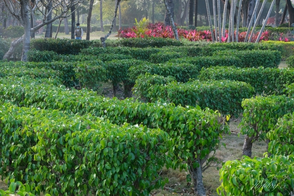 【彰化溪洲】溪州公園~2022花在彰化，樂遊農園2/1~2/13登場，還有免費送小燈籠 @飛天璇的口袋