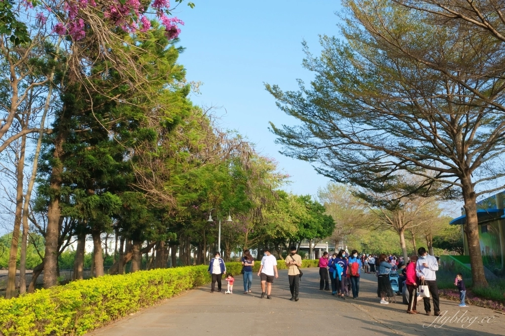 【彰化溪州】溪州公園：2021花在彰化花博會~環遊”世界花海”的偽出國新玩法 @飛天璇的口袋