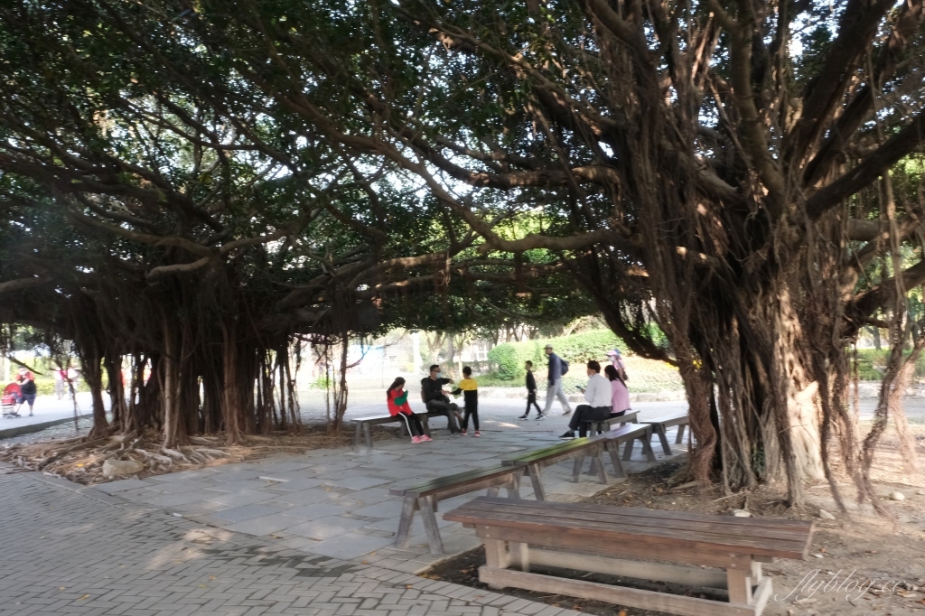 【彰化溪州】溪州公園：2021花在彰化花博會~環遊”世界花海”的偽出國新玩法 @飛天璇的口袋