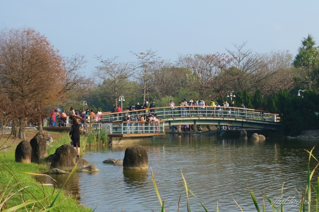 【彰化溪州】溪州公園：2021花在彰化花博會~環遊”世界花海”的偽出國新玩法 @飛天璇的口袋