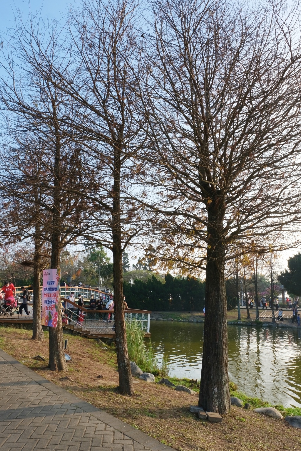 【彰化溪州】溪州公園：2021花在彰化花博會~環遊”世界花海”的偽出國新玩法 @飛天璇的口袋