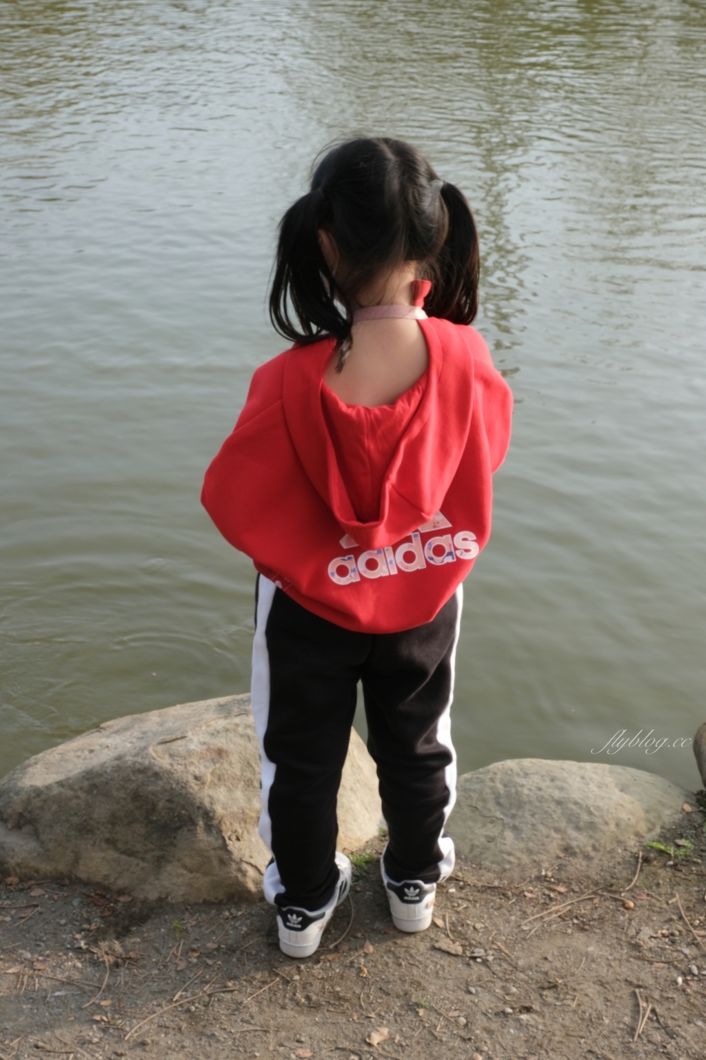 【彰化溪州】溪州公園：2021花在彰化花博會~環遊”世界花海”的偽出國新玩法 @飛天璇的口袋