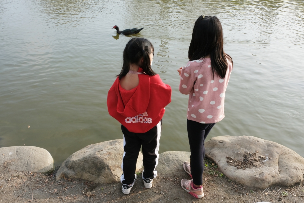 【彰化溪州】溪州公園：2021花在彰化花博會~環遊”世界花海”的偽出國新玩法 @飛天璇的口袋