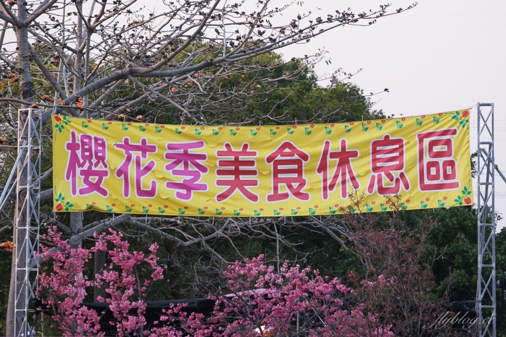 台中后里｜泰安派出所櫻花季．中部最佳賞夜櫻景點推薦，全台最美最浪漫的警察局 @飛天璇的口袋