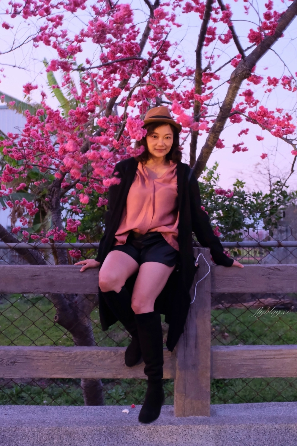 台中后里｜泰安派出所櫻花季．中部最佳賞夜櫻景點推薦，全台最美最浪漫的警察局 @飛天璇的口袋