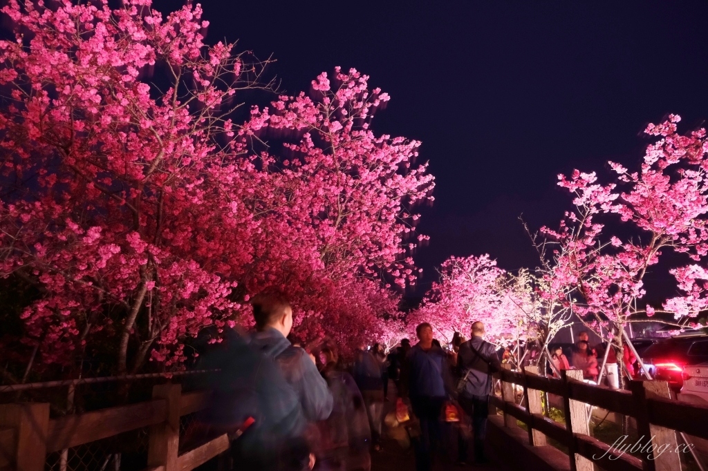 台中后里｜泰安派出所櫻花季．中部最佳賞夜櫻景點推薦，全台最美最浪漫的警察局 @飛天璇的口袋
