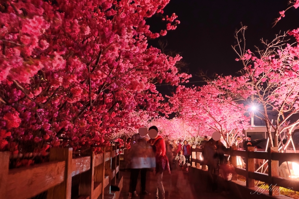 台中后里｜泰安派出所櫻花季．中部最佳賞夜櫻景點推薦，全台最美最浪漫的警察局 @飛天璇的口袋