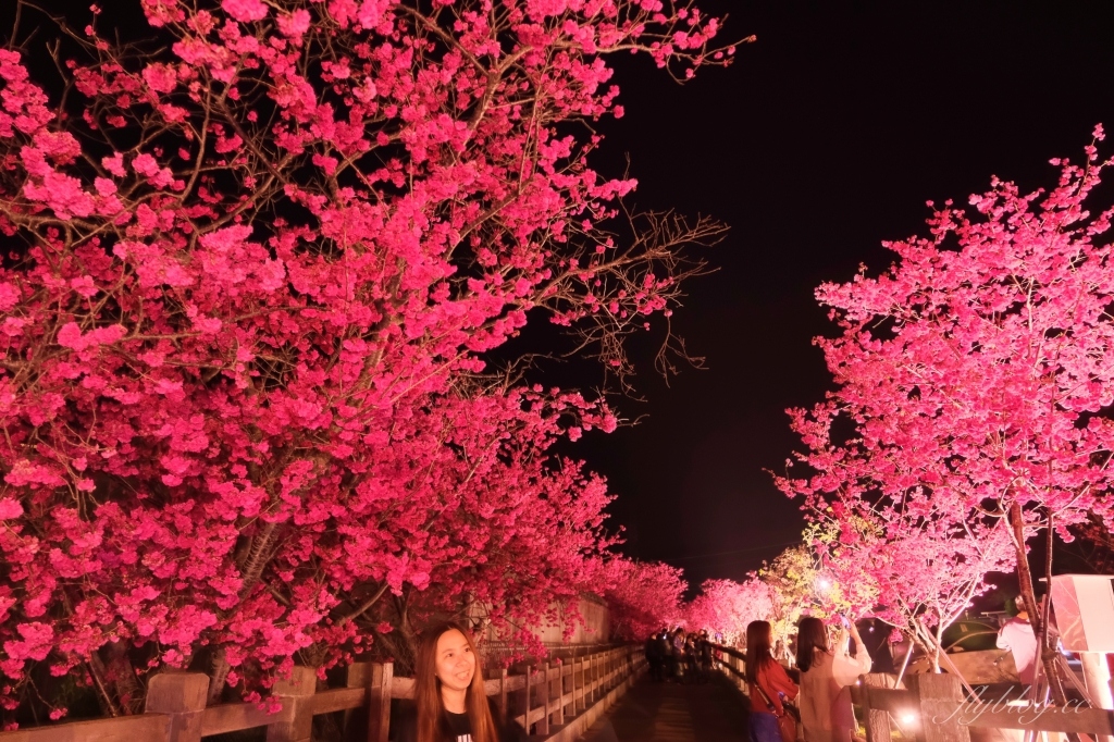 台中后里｜泰安派出所櫻花季．中部最佳賞夜櫻景點推薦，全台最美最浪漫的警察局 @飛天璇的口袋