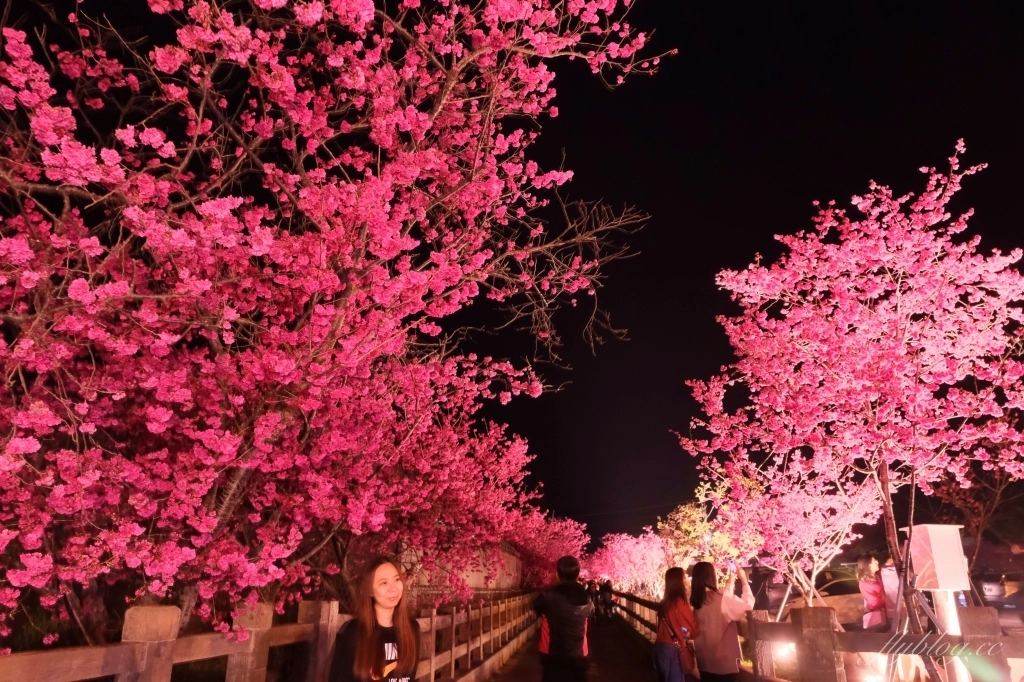 台中后里｜泰安派出所櫻花季．中部最佳賞夜櫻景點推薦，全台最美最浪漫的警察局 @飛天璇的口袋