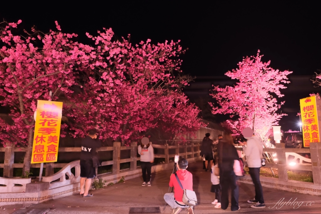 台中后里｜泰安派出所櫻花季．中部最佳賞夜櫻景點推薦，全台最美最浪漫的警察局 @飛天璇的口袋