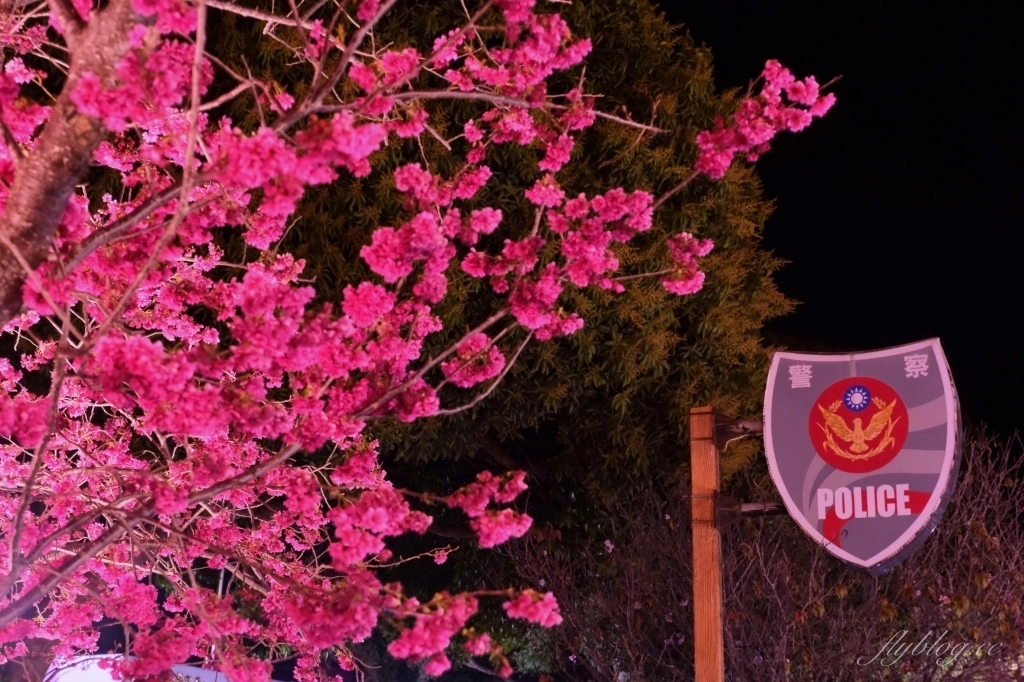 台中后里｜泰安派出所櫻花季．中部最佳賞夜櫻景點推薦，全台最美最浪漫的警察局 @飛天璇的口袋