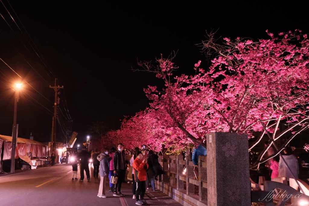 台中后里｜泰安派出所櫻花季．中部最佳賞夜櫻景點推薦，全台最美最浪漫的警察局 @飛天璇的口袋