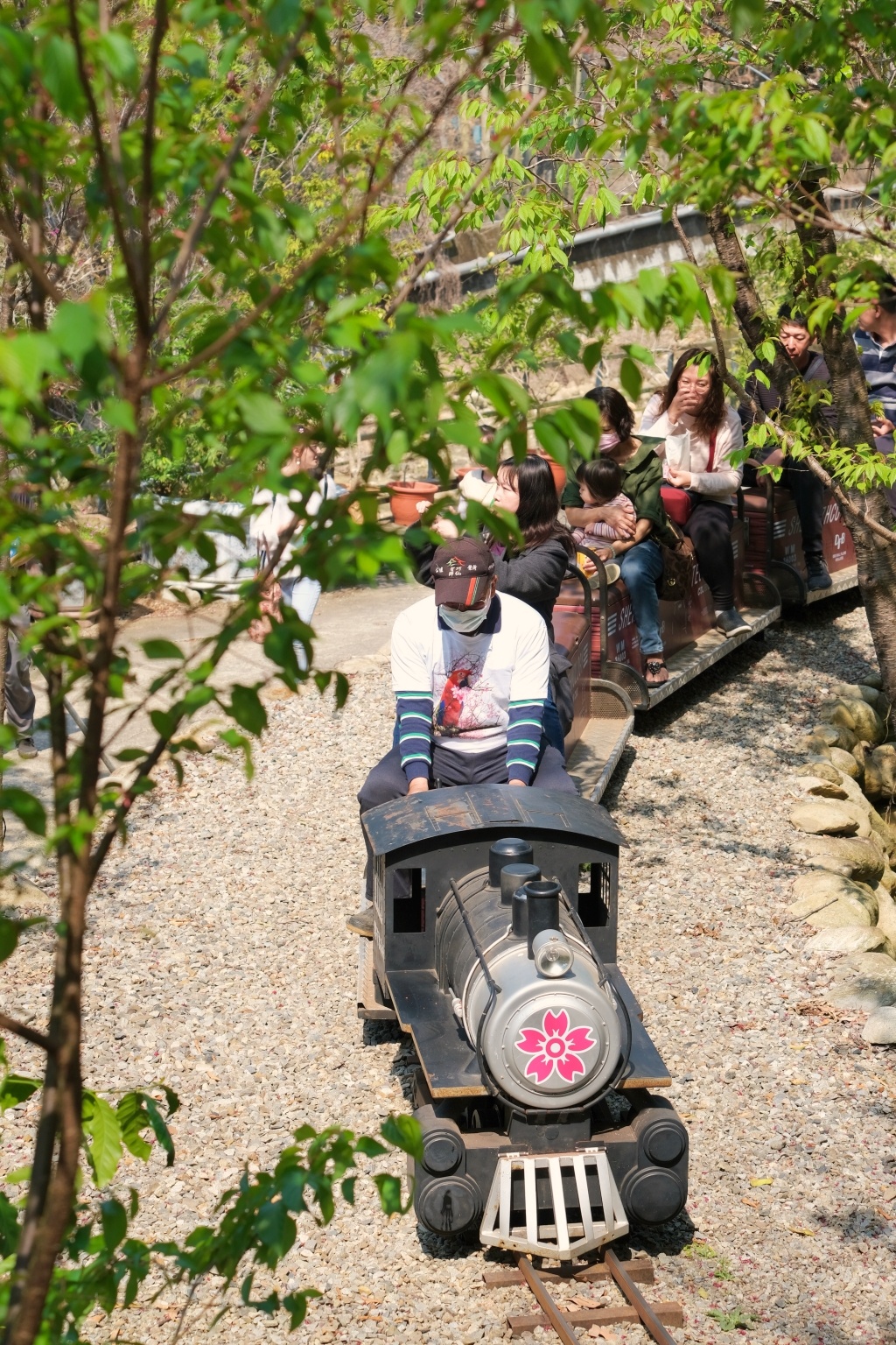 台中新社｜櫻花鳥森林．整片粉嫩香水櫻盛開中，可以租日式和服體驗 @飛天璇的口袋