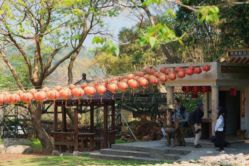 台中新社｜櫻花鳥森林．整片粉嫩香水櫻盛開中，可以租日式和服體驗 @飛天璇的口袋