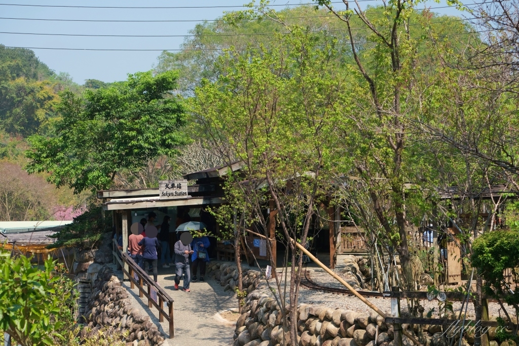 台中新社｜櫻花鳥森林．整片粉嫩香水櫻盛開中，可以租日式和服體驗 @飛天璇的口袋