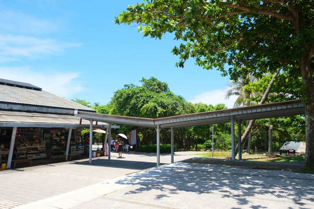 台東景點｜小野柳．充滿自然生態東部沿海地質教室，天氣好的時候還可以眺望綠島 @飛天璇的口袋