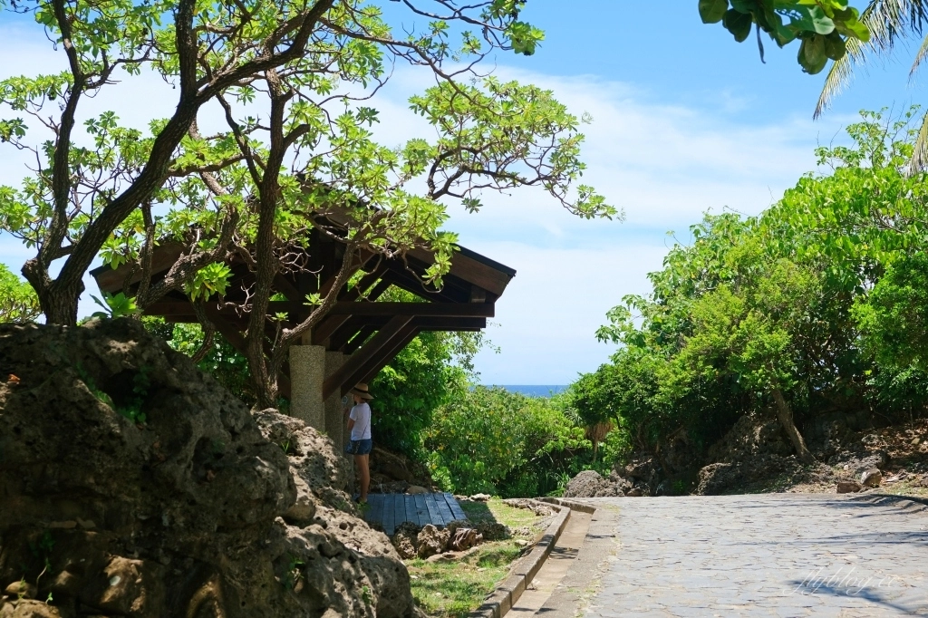 台東景點｜小野柳．充滿自然生態東部沿海地質教室，天氣好的時候還可以眺望綠島 @飛天璇的口袋