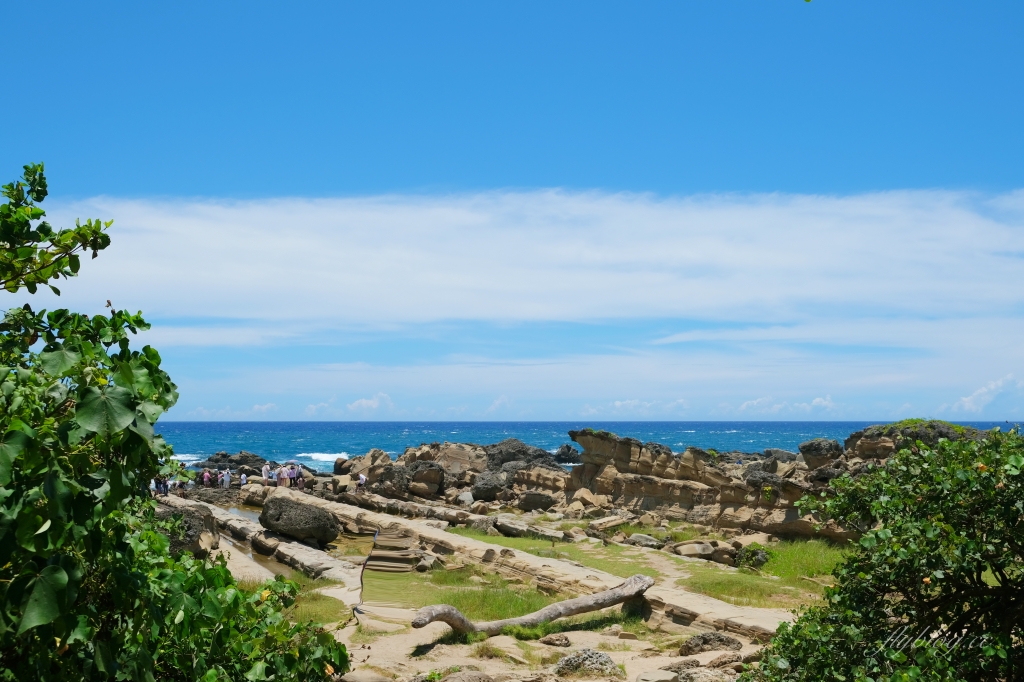台東景點｜小野柳．充滿自然生態東部沿海地質教室，天氣好的時候還可以眺望綠島 @飛天璇的口袋