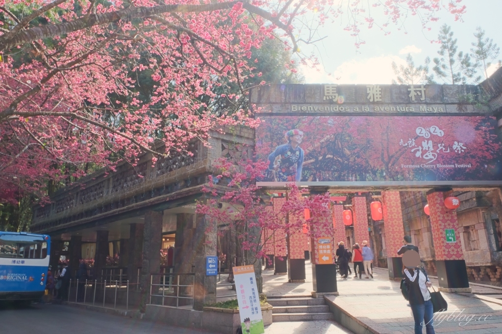 南投魚池｜2025九族文化村櫻花祭．唯一日本認證海外賞櫻名所，5000多株櫻花樹嬌艷動人 @飛天璇的口袋
