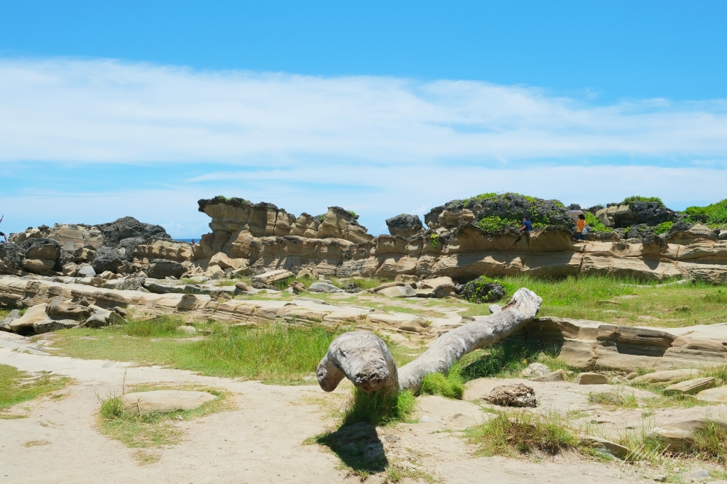 台東景點｜小野柳．充滿自然生態東部沿海地質教室，天氣好的時候還可以眺望綠島 @飛天璇的口袋