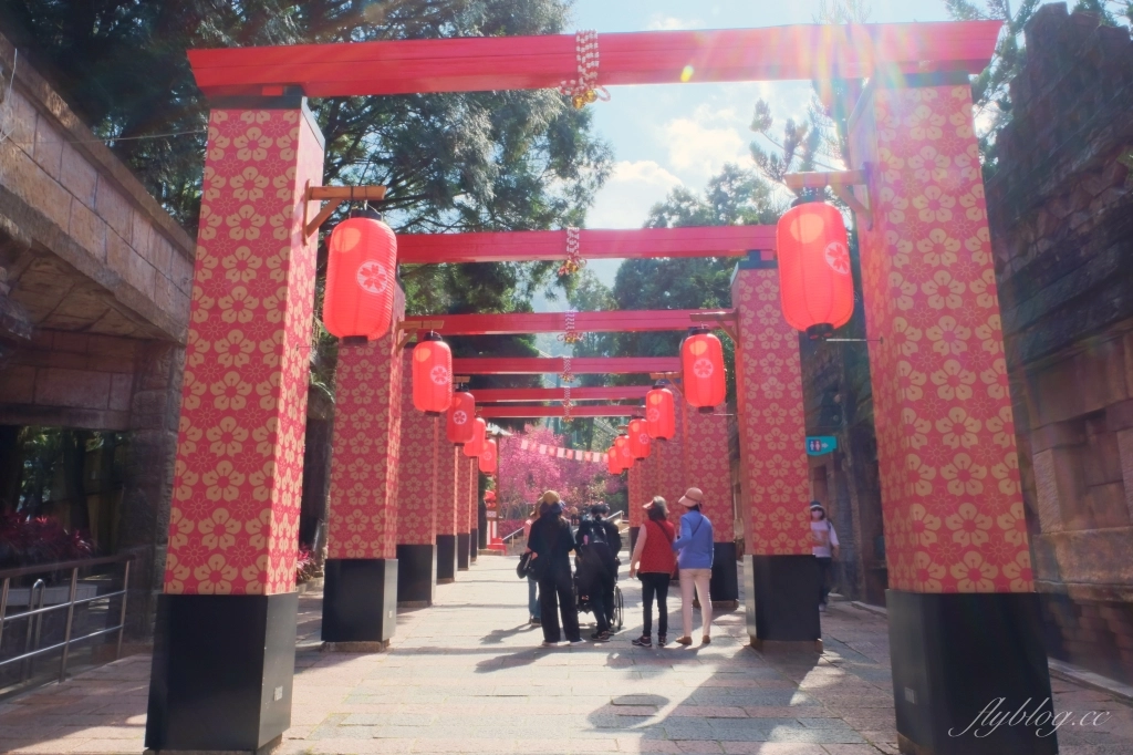 南投魚池｜2025九族文化村櫻花祭．唯一日本認證海外賞櫻名所，5000多株櫻花樹嬌艷動人 @飛天璇的口袋