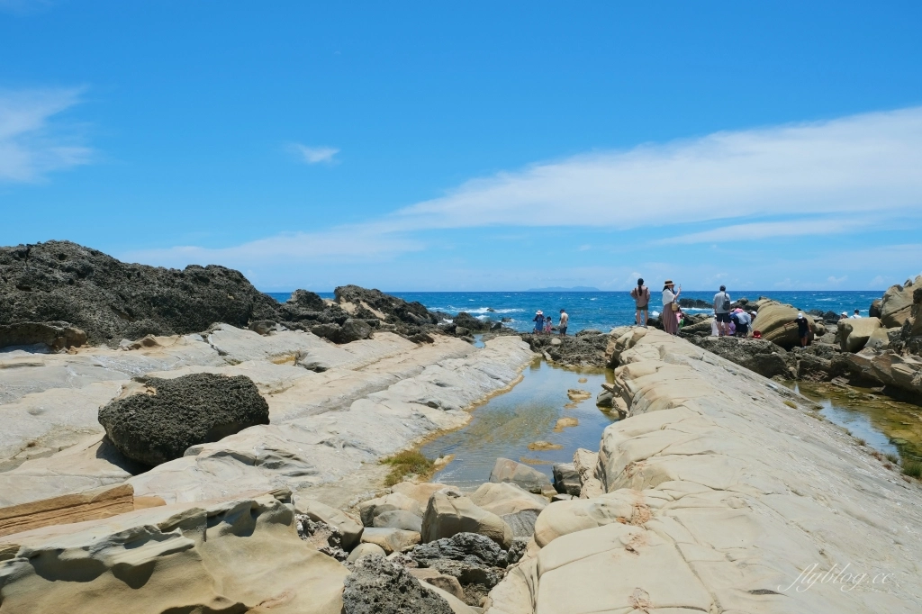 台東景點｜小野柳．充滿自然生態東部沿海地質教室，天氣好的時候還可以眺望綠島 @飛天璇的口袋