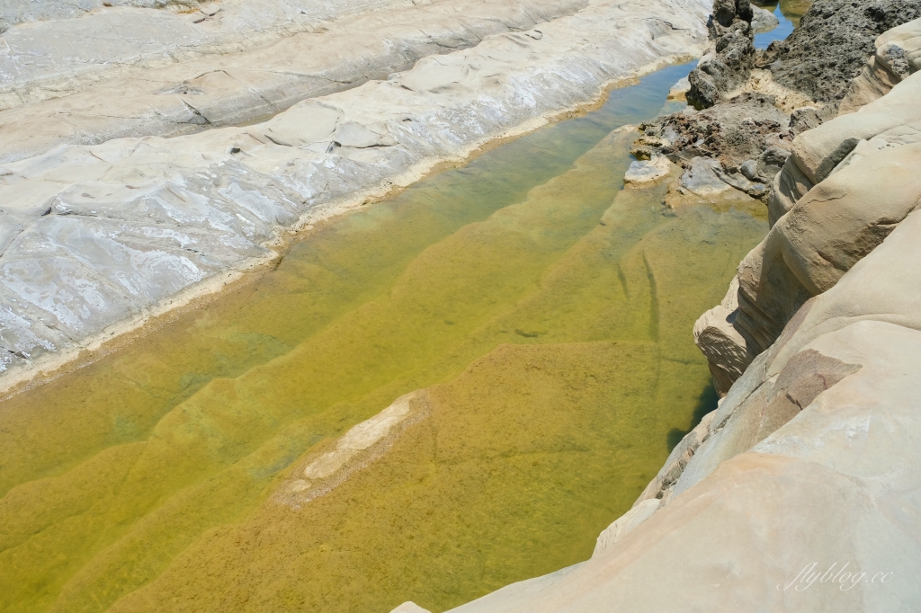 台東景點｜小野柳．充滿自然生態東部沿海地質教室，天氣好的時候還可以眺望綠島 @飛天璇的口袋
