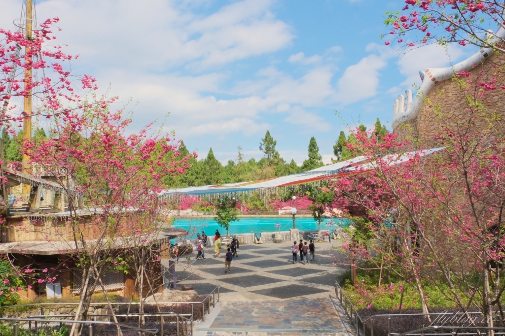 南投魚池｜2025九族文化村櫻花祭．唯一日本認證海外賞櫻名所，5000多株櫻花樹嬌艷動人 @飛天璇的口袋
