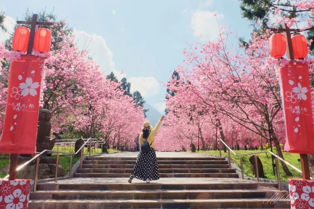 南投魚池｜2025九族文化村櫻花祭．唯一日本認證海外賞櫻名所，5000多株櫻花樹嬌艷動人 @飛天璇的口袋