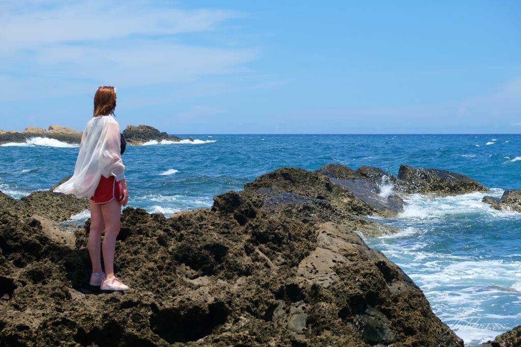 台東景點｜小野柳．充滿自然生態東部沿海地質教室，天氣好的時候還可以眺望綠島 @飛天璇的口袋