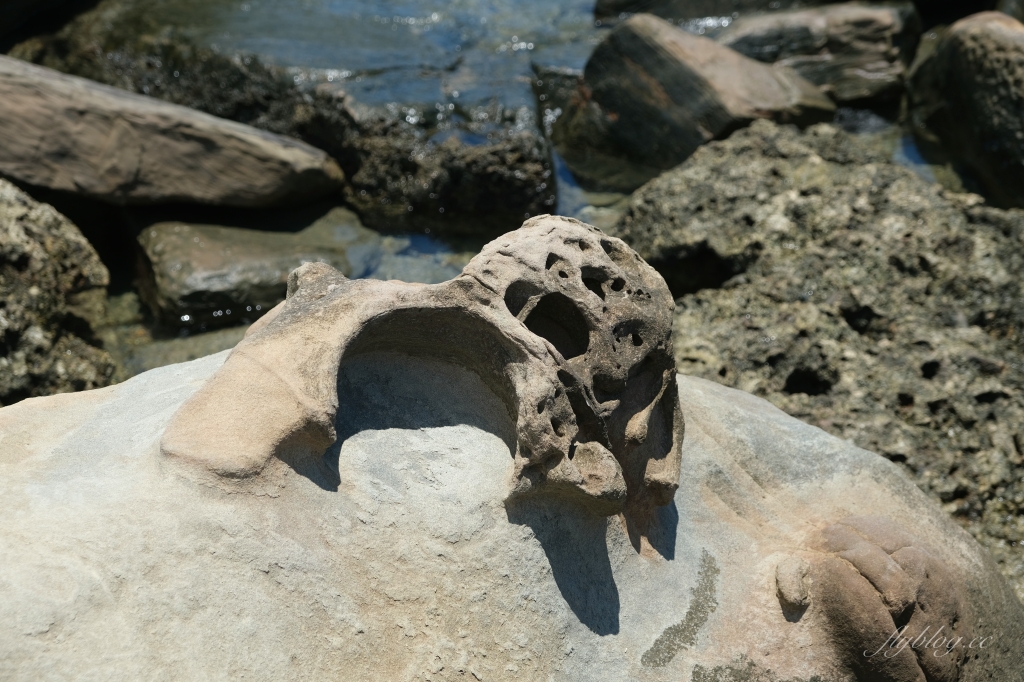 台東景點｜小野柳．充滿自然生態東部沿海地質教室，天氣好的時候還可以眺望綠島 @飛天璇的口袋