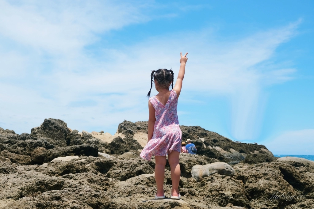 台東景點｜小野柳．充滿自然生態東部沿海地質教室，天氣好的時候還可以眺望綠島 @飛天璇的口袋