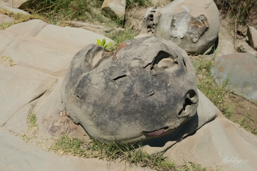 台東景點｜小野柳．充滿自然生態東部沿海地質教室，天氣好的時候還可以眺望綠島 @飛天璇的口袋