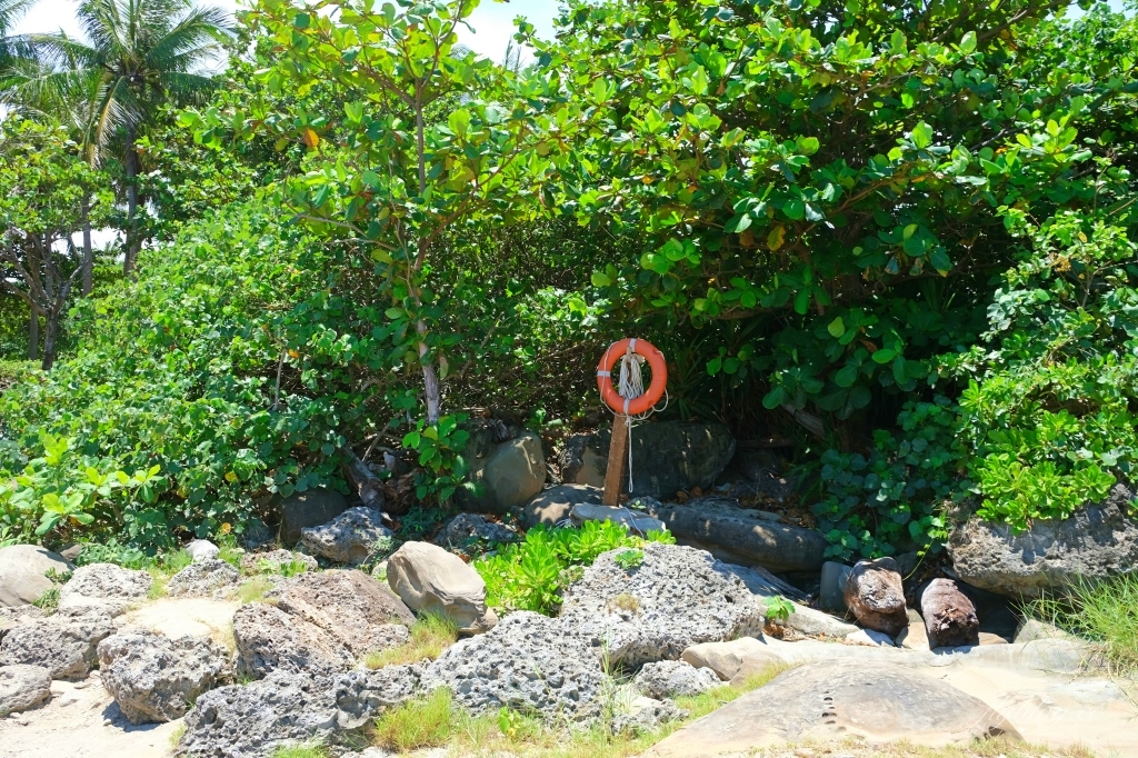台東景點｜小野柳．充滿自然生態東部沿海地質教室，天氣好的時候還可以眺望綠島 @飛天璇的口袋
