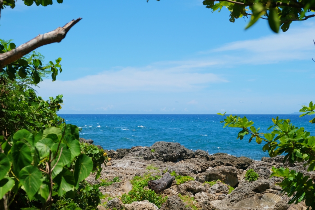台東景點｜小野柳．充滿自然生態東部沿海地質教室，天氣好的時候還可以眺望綠島 @飛天璇的口袋