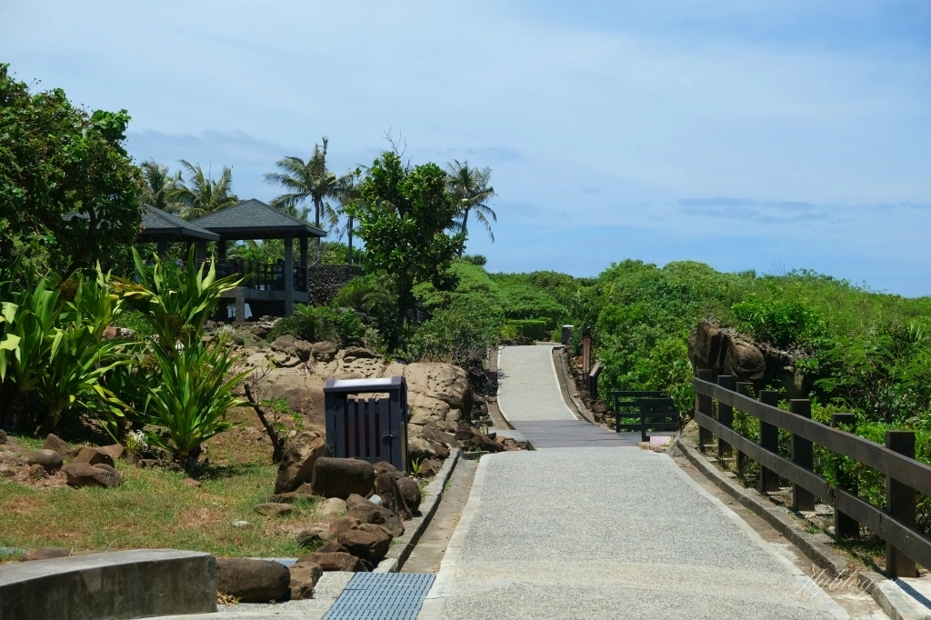 台東景點｜小野柳．充滿自然生態東部沿海地質教室，天氣好的時候還可以眺望綠島 @飛天璇的口袋
