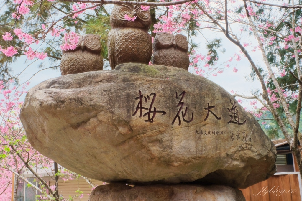 南投魚池｜2025九族文化村櫻花祭．唯一日本認證海外賞櫻名所，5000多株櫻花樹嬌艷動人 @飛天璇的口袋