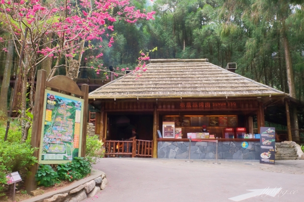 南投魚池｜2025九族文化村櫻花祭．唯一日本認證海外賞櫻名所，5000多株櫻花樹嬌艷動人 @飛天璇的口袋