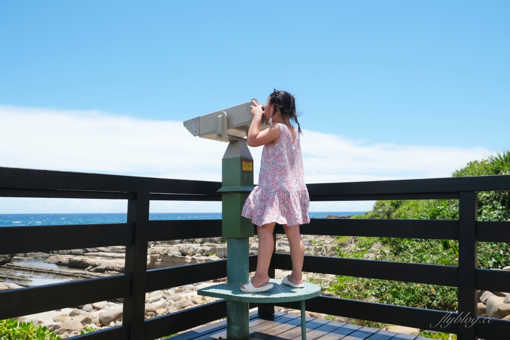 台東景點｜小野柳．充滿自然生態東部沿海地質教室，天氣好的時候還可以眺望綠島 @飛天璇的口袋