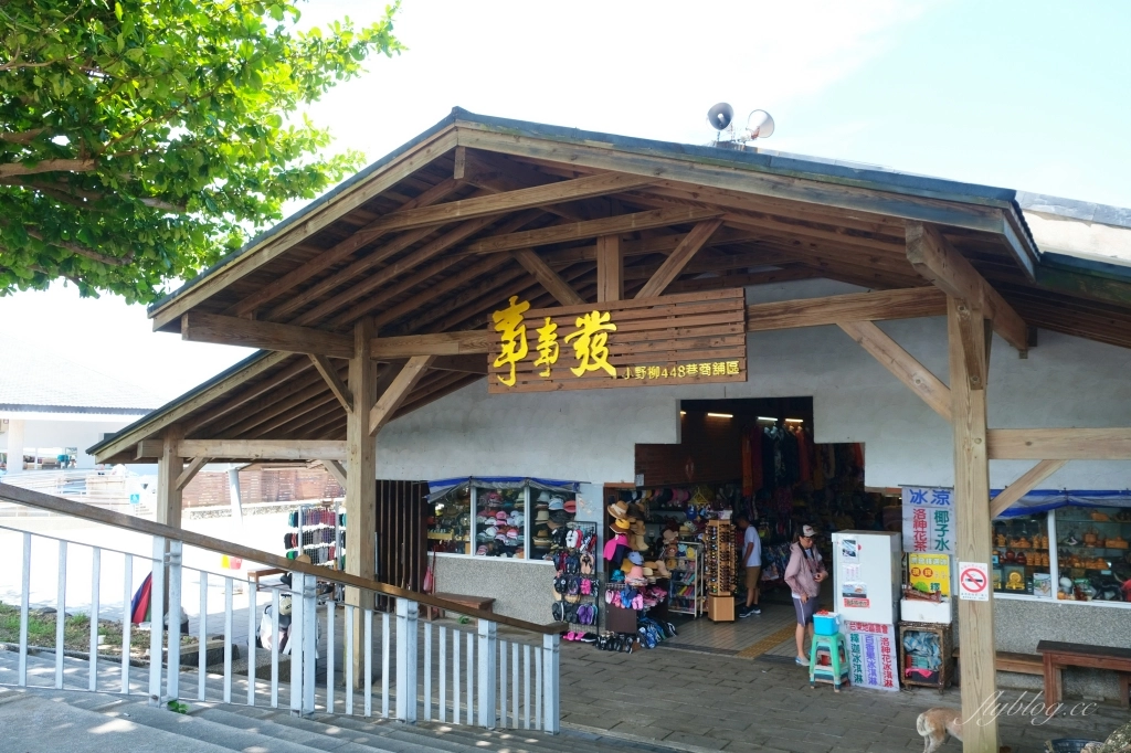 台東景點｜小野柳．充滿自然生態東部沿海地質教室，天氣好的時候還可以眺望綠島 @飛天璇的口袋