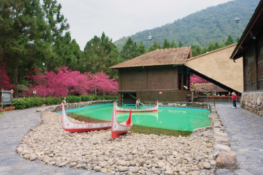 南投魚池｜2025九族文化村櫻花祭．唯一日本認證海外賞櫻名所，5000多株櫻花樹嬌艷動人 @飛天璇的口袋