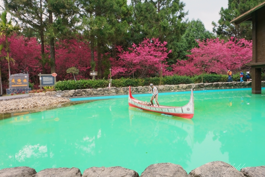 南投魚池｜2025九族文化村櫻花祭．唯一日本認證海外賞櫻名所，5000多株櫻花樹嬌艷動人 @飛天璇的口袋