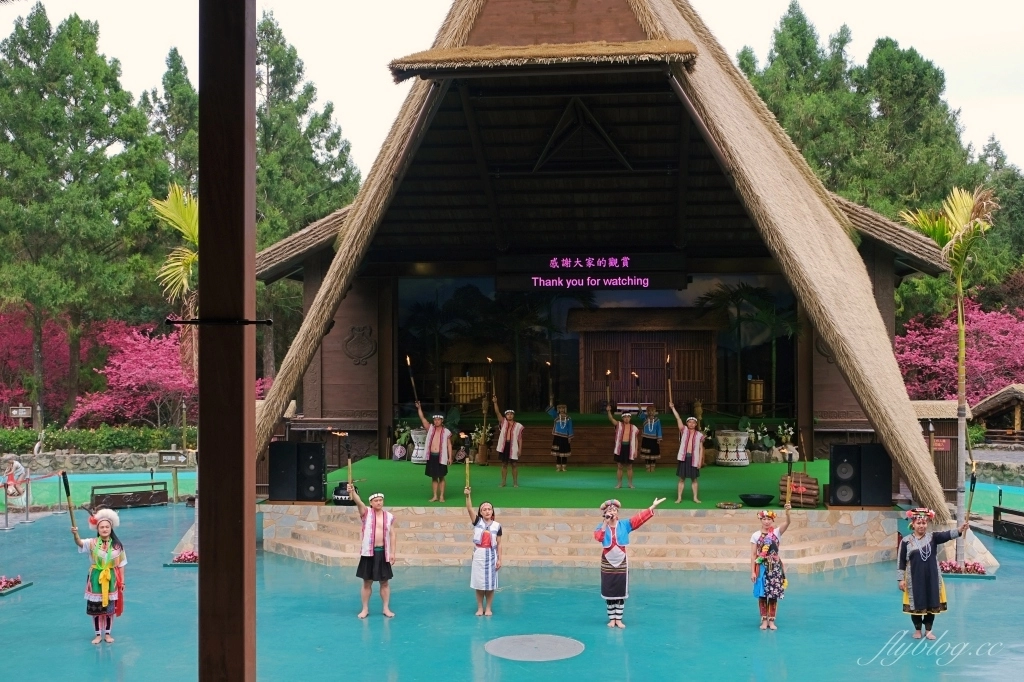 南投魚池｜2025九族文化村櫻花祭．唯一日本認證海外賞櫻名所，5000多株櫻花樹嬌艷動人 @飛天璇的口袋