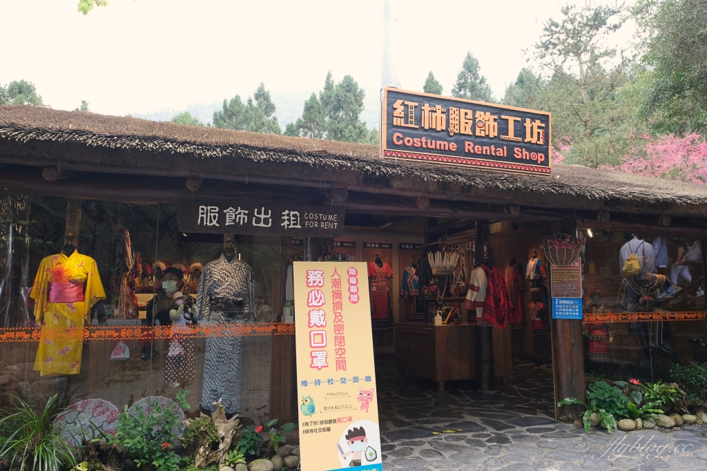 南投魚池｜2025九族文化村櫻花祭．唯一日本認證海外賞櫻名所，5000多株櫻花樹嬌艷動人 @飛天璇的口袋