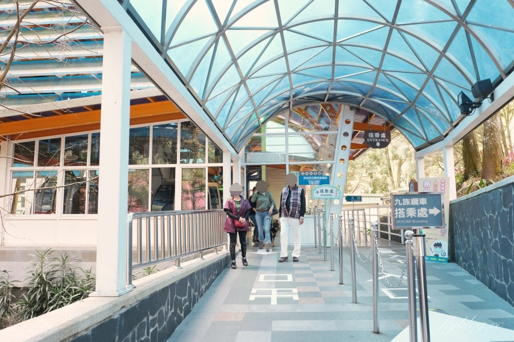 南投魚池｜2025九族文化村櫻花祭．唯一日本認證海外賞櫻名所，5000多株櫻花樹嬌艷動人 @飛天璇的口袋