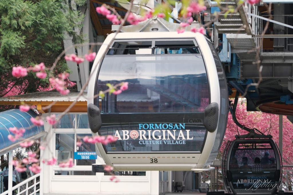 南投魚池｜2025九族文化村櫻花祭．唯一日本認證海外賞櫻名所，5000多株櫻花樹嬌艷動人 @飛天璇的口袋