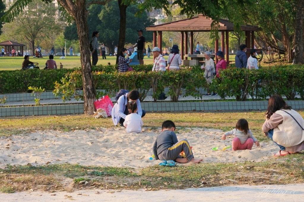 台中北屯|廍子公園,黃花風鈴木季正美,金色璀燦從粉紅情人橋到公園一整片浪漫 @飛天璇的口袋 台中北屯|廍子公園,黃花風鈴木季正美,金色璀燦從粉紅情人橋到公園一整片浪漫 @飛天璇的口袋