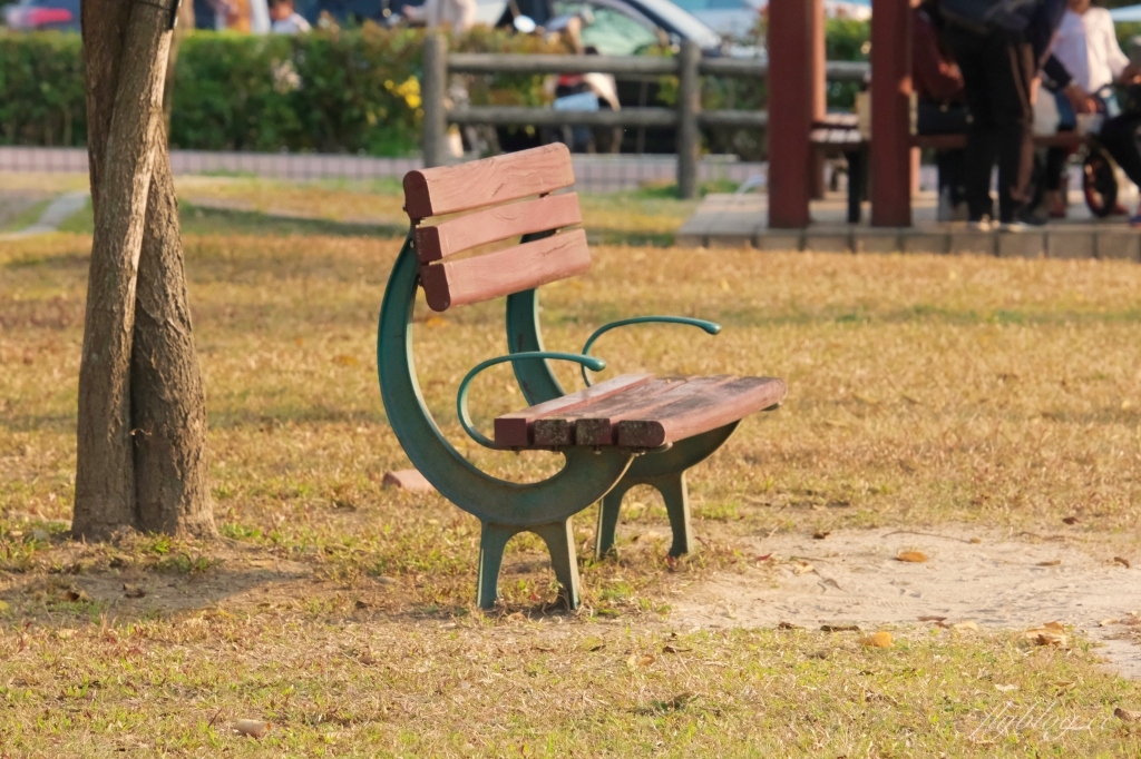 台中北屯|廍子公園,黃花風鈴木季正美,金色璀燦從粉紅情人橋到公園一整片浪漫 @飛天璇的口袋 台中北屯|廍子公園,黃花風鈴木季正美,金色璀燦從粉紅情人橋到公園一整片浪漫 @飛天璇的口袋